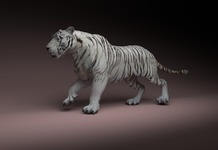 Tiger muscle sim with ziva dinamics
